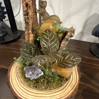 Jungle Box Studio - Large Crystal collection 3 weeks in - Art Classes Near Me - Los Angeles, California
