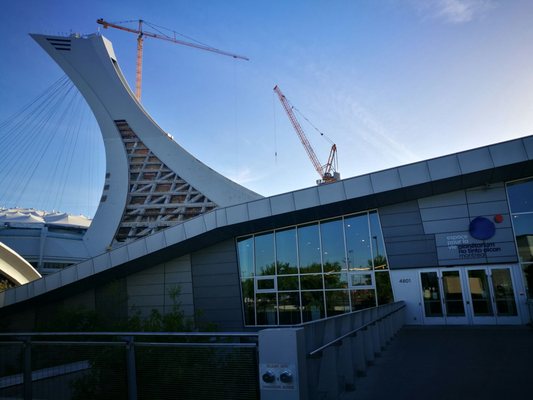 The Montreal Tower by null