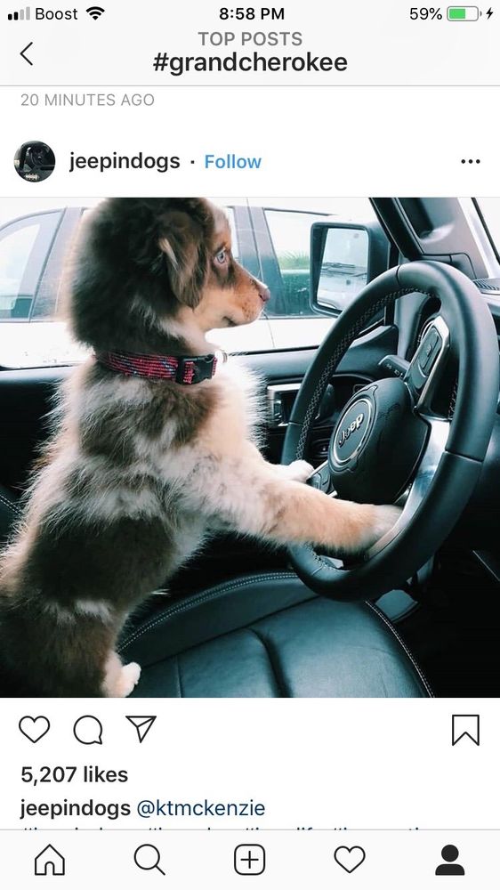 AUTO HAUS OF IRVINGTON Updated August 2024 11 Reviews 10521056