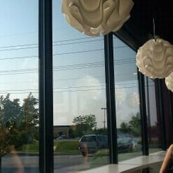 FroYo Frozen Yogurt