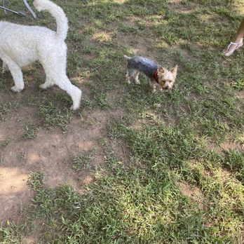 Two Rivers Dog Park - Dog Parks Near Me - Nashville, Tennessee Two Rivers Dog Park - Dog Parks Near Me - Nashville, Tennessee
