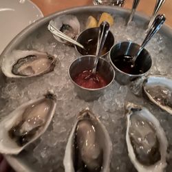 Ox - Probably the freshest most delicious oysters I've ever had