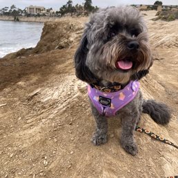On a beach excursion with my favorite sitter