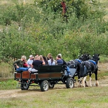 Silvershire Farm - Horseback Riding Near Me - Aspers, Pennsylvania