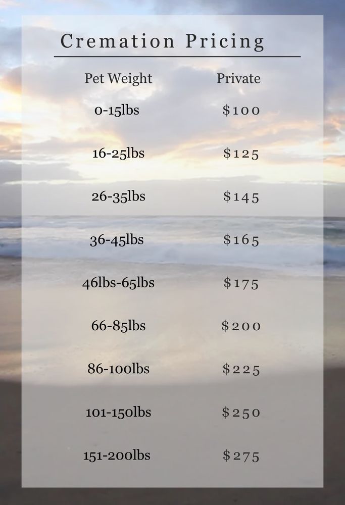 PARADISE KENNELS Updated July 2024 17 Photos 3996 Belair Rd