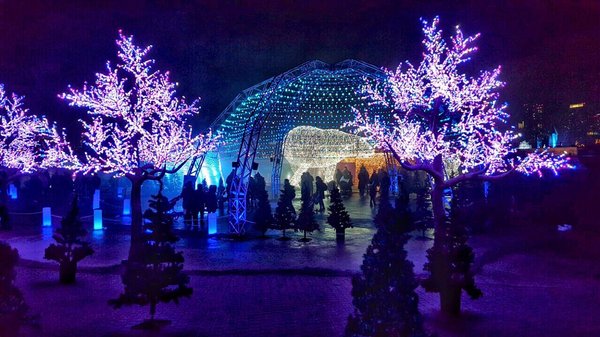 Aurora Winter Festival by null