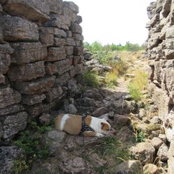 Ismantorps Borg - taking a break