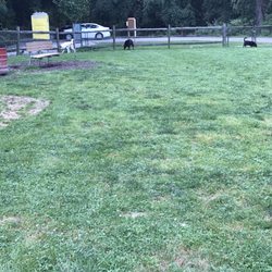 Penn Hills Dog Park - Doggies