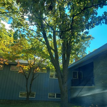 Albany Med Urology - Urologists Near Me - Schenectady, New York Albany Med Urology - Urologists Near Me - Schenectady, New York