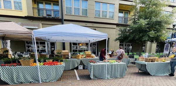 Maitland Farmer's Market by null