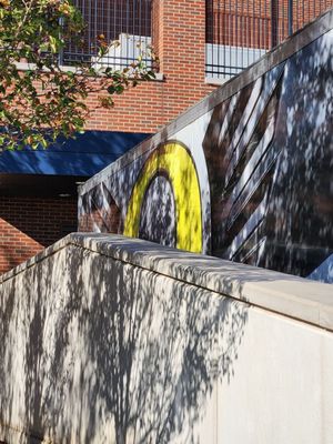 University of Oregon by null