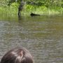 Photo of AuTrain River Canoe & Kayak Rental