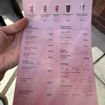 Molly Tea - Bubble Tea Near Me - Sunnyvale, California Molly Tea - Bubble Tea Near Me - Sunnyvale, California