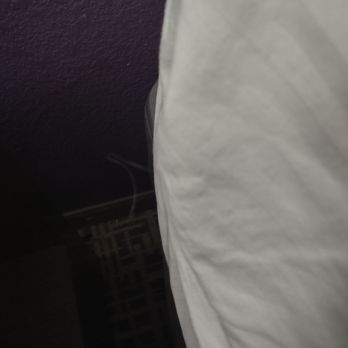Best Western Plus Buda Austin Inn & Suites - A random hair on the side of the bed - Hotels Near Me - Buda, Texas Best Western Plus Buda Austin Inn & Suites - A random hair on the side of the bed - Hotels Near Me - Buda, Texas