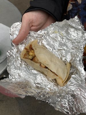 King David Tacos by null