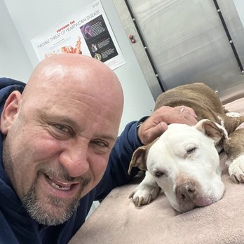 Skillman Animal Clinic - Veterinarians Near Me - Sunnyside, New York Skillman Animal Clinic - Veterinarians Near Me - Sunnyside, New York