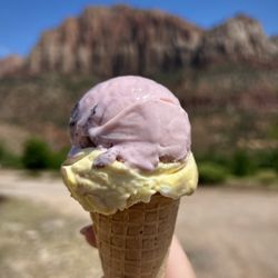 Springdale Candy Company - Wild huckleberry & bananas foster (kids size).
