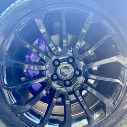 Seven Wraps - Purple calipers