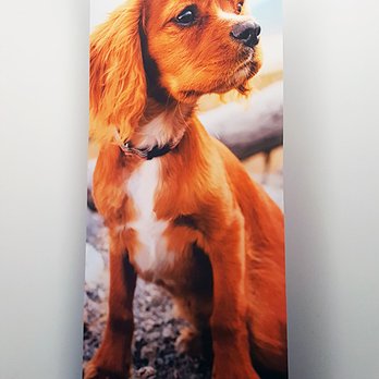 Vancouver Banner - Fabric Retractable B banner stand @ VancouverBanner.ca - Printing Services Near Me - Richmond, British Columbia