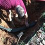 Taylor's Septic Service