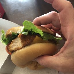 Spicy Deluxe Sandwich