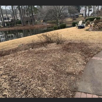 Impeccable Tree Stump Removal and Landscaping - Tree Services Near Me Impeccable Tree Stump Removal and Landscaping - Tree Services Near Me