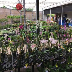 Walmart Garden Center
