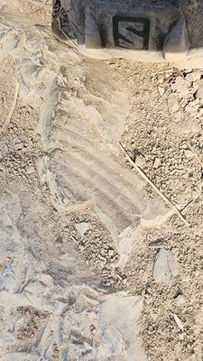 Anthony Chabot Regional Park by null