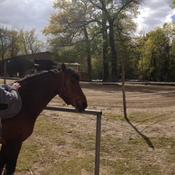 Bayard Ucpa Centre Equestre