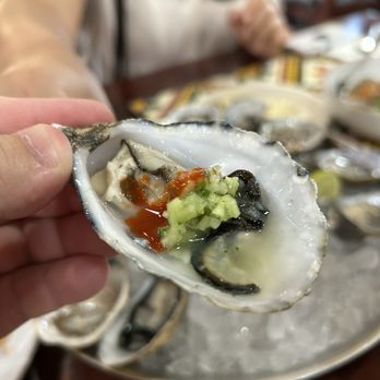 Holbox - Close up of the oysters - Latin American Near Me - Los Angeles, California