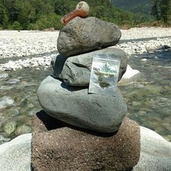 Chronic Solutions