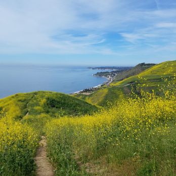 Corral Canyon Park - The trail - Parks Near Me - Malibu, California Corral Canyon Park - The trail - Parks Near Me - Malibu, California
