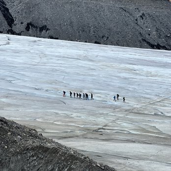 Columbia Icefield - Tours Near Me - Banff, Alberta