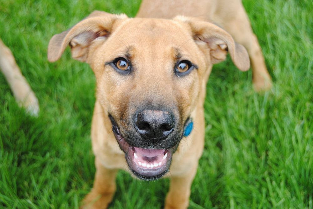 TAILSUWIN Updated September 2024 18 Photos & 13 Reviews 175