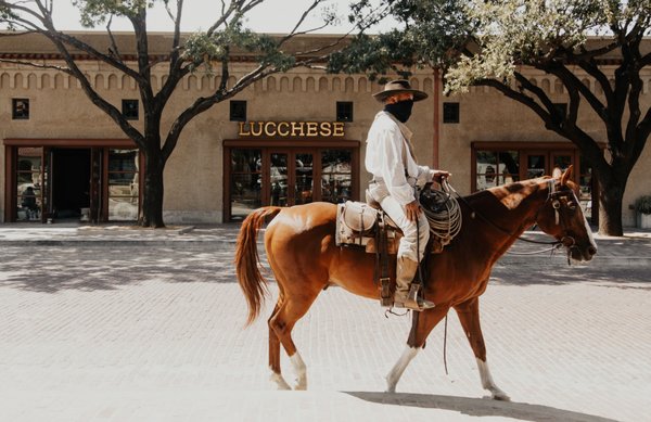 Lucchese Bootmaker by null