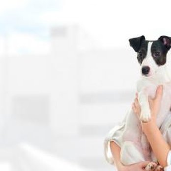 Oak Crest Animal Hospital - Oak Crest Animal Hospital - Veterinarians Near Me - Cincinnati, Ohio Oak Crest Animal Hospital - Oak Crest Animal Hospital - Veterinarians Near Me - Cincinnati, Ohio