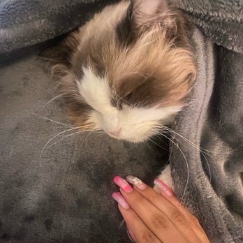 VEG ER for Pets - Emergency Pet Hospital Near Me - Hoboken, New Jersey VEG ER for Pets - Emergency Pet Hospital Near Me - Hoboken, New Jersey