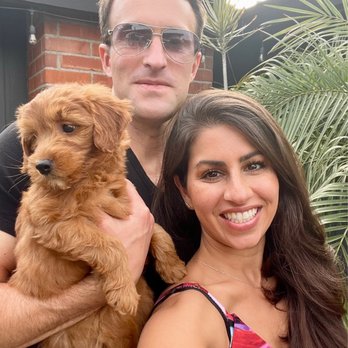 California Goldendoodle - Pet Breeders Near Me