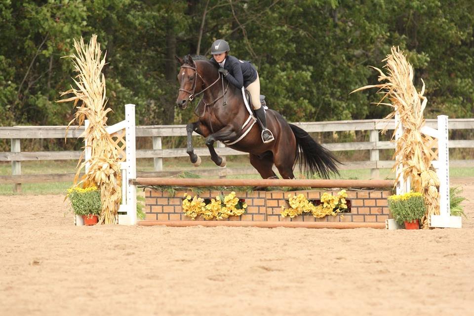 Double Deuce Farm - equestrian in Painesville, OH