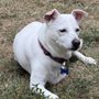 Furpals Ranch