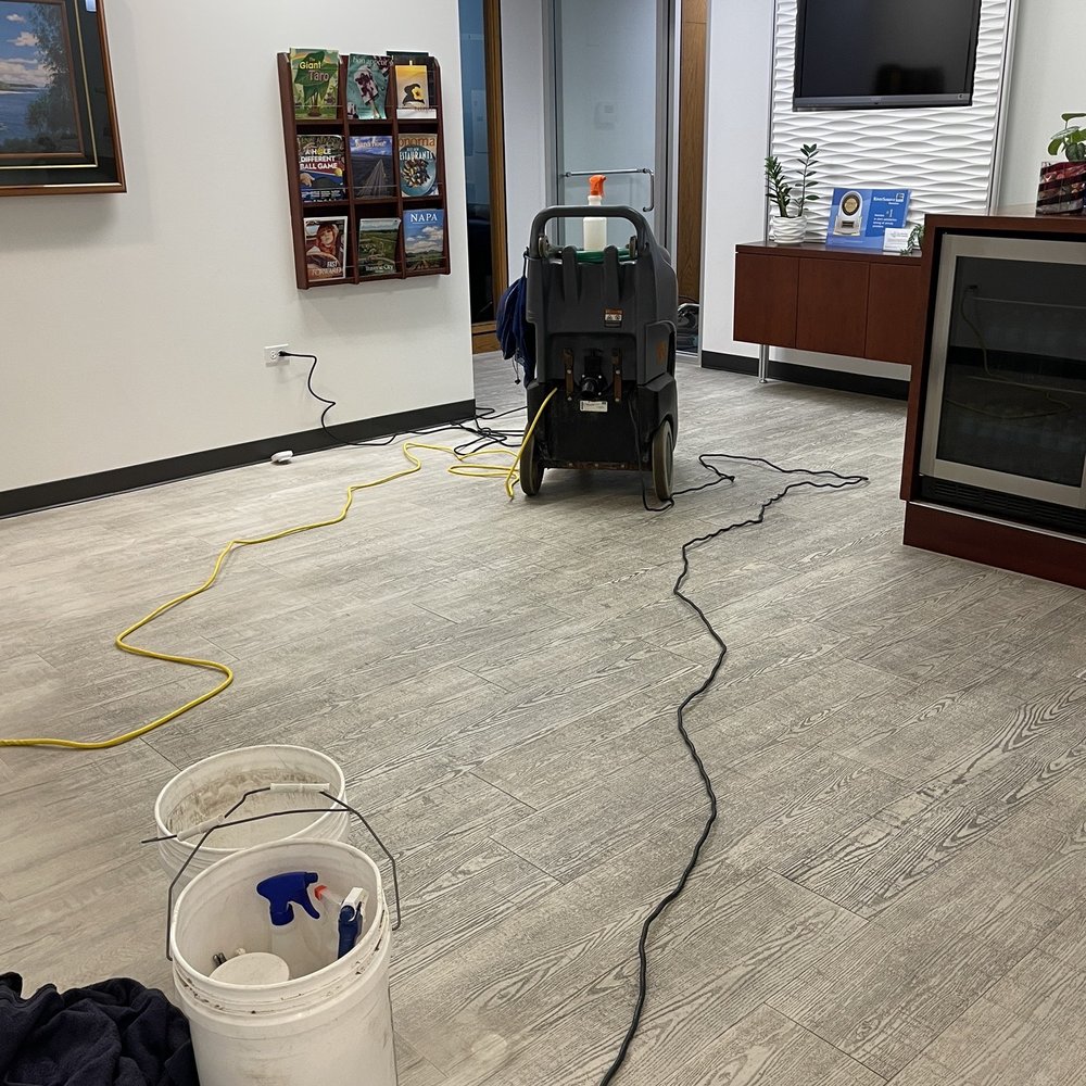 Excellence Carpet & Cleaning - Carpet Cleaning Near Me