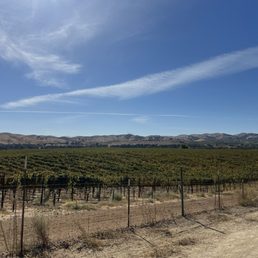 Livermore Wine Country