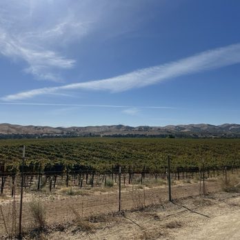 Pedego Electric Bikes Livermore - Livermore Wine Country - Bikes Near Me - Livermore, California