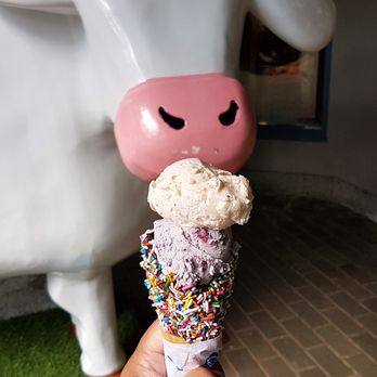 COWS - PEI Strawberry and PEI Blueberry - Ice Cream & Frozen Yogurt Near Me - Whistler, British Columbia COWS - PEI Strawberry and PEI Blueberry - Ice Cream & Frozen Yogurt Near Me - Whistler, British Columbia