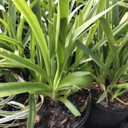 Baker's Nursery