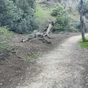 Alum Rock Park - Parks Near Me - San Jose, California