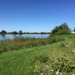 Campingplatz Hohes Elbufer - Blick auf die Elbe
