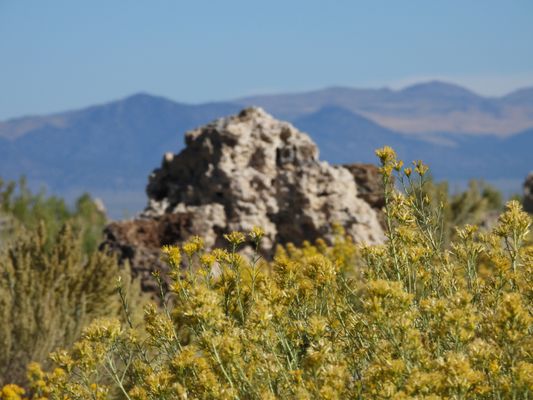 Mono Lake by null