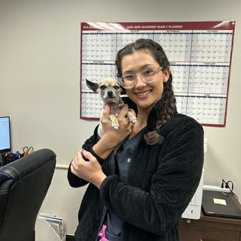 Sunset Veterinary Clinic - Veterinarians Near Me - Edmond, Oklahoma Sunset Veterinary Clinic - Veterinarians Near Me - Edmond, Oklahoma