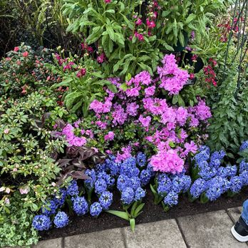 Lincoln Park Conservatory - Parks Near Me - Chicago, Illinois Lincoln Park Conservatory - Parks Near Me - Chicago, Illinois